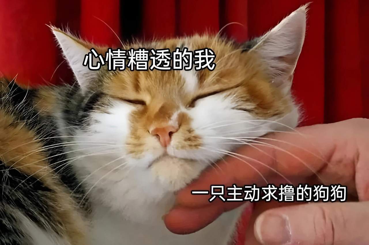 心情糟透的我与主动求撸的狗狗 梗图网 | AI梗图搜索引擎与百科