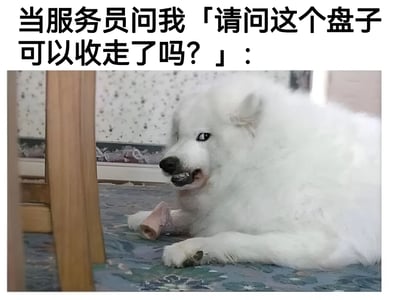 图片上方配有文字“当服务员问我「请问这个盘子可以收走了吗？」：”，下方是一只白色萨摩耶犬趴在地上，嘴里似乎叼着东西，前爪按着一根骨头，周围散落着一些碎屑，表情看起来有些心虚和防御，仿佛在偷偷藏食物，用狗狗的可爱反应幽默地表现了人们在餐厅被问是否可以收走盘子时，可能还没吃完或想继续享用的微妙心理。
