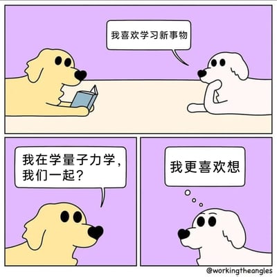 这是一幅三格连环卡通漫画，描绘了两只小狗的趣味对话。第一格中，白色小狗趴在地上托着腮，表达自己喜欢学习新事物，身旁的黄色小狗正趴着阅读书籍；第二格左侧，黄色小狗向白色小狗发出邀约，表示自己正在学习量子力学，邀请对方一同学习；右侧的白色小狗则陷入思考，表达自己更喜欢通过“想”来接触相关内容。漫画结合量子力学中大量依赖思想实验的学科特点，用可爱的卡通动物对话制造轻松幽默的笑点，整体风格简洁治愈。