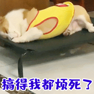 烦躁小狗：搞得我都烦死了