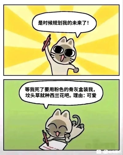 这是一幅由两格组成的卡通连环漫画，第一格中，一只有着灰脸白身的卡通猫咪举着笔，背景是黄色放射状图案，猫咪眼睛圆睁、吐着舌头，看起来兴奋又激动，配文“是时候规划我的未来了！”，营造出积极筹备人生规划的氛围；第二格中，猫咪放松地趴在纸上，用笔在纸上书写，眯着眼睛吐舌头，神态满足，配文“等我死了要用粉色的骨灰盒装我，坟头草就种西兰花吧。理由：可爱”，和第一格的“规划未来”形成强烈反差，将“未来规划”的落点放在了另类的身后事安排上，用可爱的表述制造出荒诞又搞笑的幽默效果。