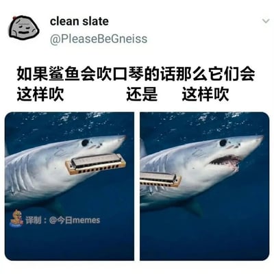 这是一张左右分栏的搞笑P图，基于真实的鲨鱼照片改编。左侧图中，鲨鱼嘴部闭合，口琴被放置在它的嘴部前方，模拟鲨鱼用嘴贴合口琴吹奏的样子；右侧图中，鲨鱼嘴部张开，露出牙齿和口腔，口琴被放置在它的下颌位置，模拟它张嘴吹奏口琴的姿态。图中配文“如果鲨鱼会吹口琴的话那么它们会这样吹 还是 这样吹”，用无厘头的脑洞设定制造出滑稽的搞笑效果，属于网络趣味meme内容。