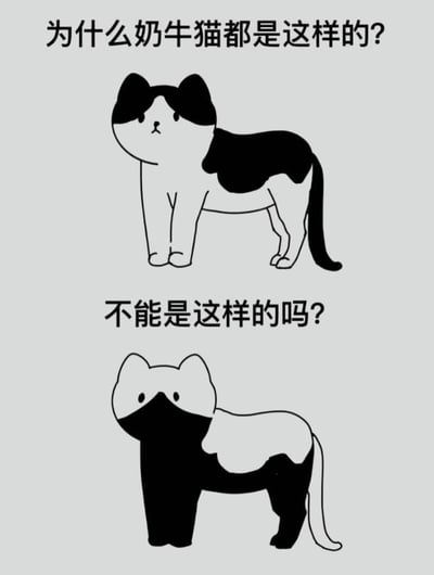 图片展示了两只卡通风格的奶牛猫，通过上下对比的方式呈现。上方的猫有着典型的奶牛猫毛色分布：脸部有黑色斑块，背部有大块黑色区域，其余部分为白色。下方的猫则有着相反的毛色分布：脸部下方和身体大部分为黑色，背部有白色斑块。图片通过文字提问的方式幽默地质疑为什么奶牛猫通常都是第一种毛色分布，而不是第二种。