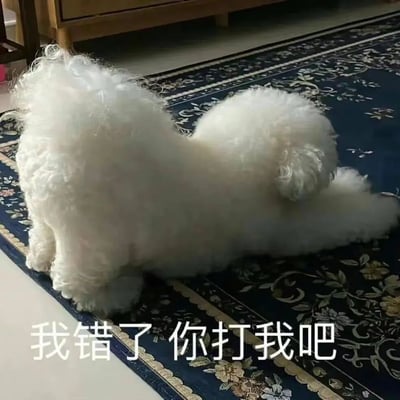 一只浑身雪白、毛发蓬松的卷毛小狗背对着镜头趴在蓝色花纹地毯上，圆润的身形像一团棉花糖。图片底部配有文字“我错了 你打我吧”，将小狗乖巧认错的姿态拟人化，形成幽默可爱的效果。