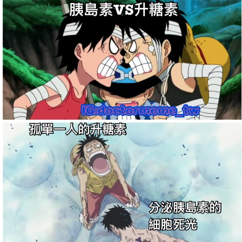 波特卡斯·D·艾斯