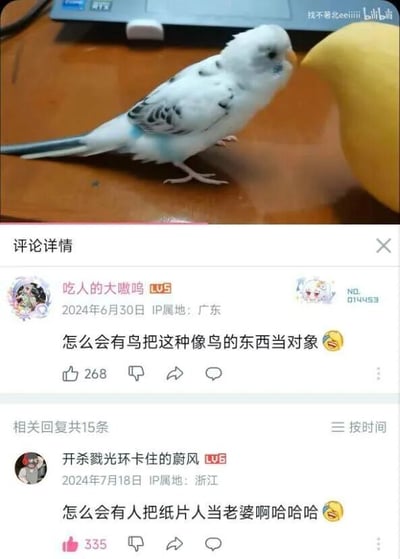 这张图片是bilibili平台的视频截图，上半部分展示了一只带有灰黑色斑纹、蓝色尾羽的白色虎皮鹦鹉，正站在木质桌面上凑近一个黄色的鸟形物品，神态专注，似乎将这个物品认作了同类；下半部分是该视频的评论区内容，用户“吃人的大嗷呜”评论“怎么会有鸟把这种像鸟的东西当对象😆”，获得268个赞，用户“开杀戮光环卡住的蔚风”则用二次元爱好者喜爱纸片人的梗反怼，评论“怎么会有人把纸片人当老婆啊哈哈哈😆”，获得335个赞，两条评论形成有趣的互怼，用不同群体的喜好制造笑点。