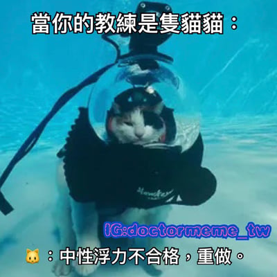 图片展示了一只戴着透明潜水头盔和黑色潜水背心的猫在水下场景中，表情严肃，仿佛一位严格的潜水教练。图片上方有文字“當你的教練是隻貓貓：”，下方配有猫咪表情符号和对白“中性浮力不合格，重做。”，通过将猫拟人化为潜水教练，营造出幽默搞笑的效果，调侃了严格教练的形象。