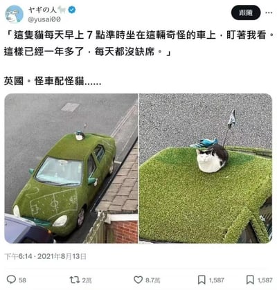 这是一张来自社交平台X（原Twitter）的截图，用户@yusai00分享了自己在英国遇到的趣事：一只黑白花色的猫咪，每天早上7点都会准时趴在一辆被人工草皮完全覆盖、车身还绘制了足球场图案的改装汽车顶部，盯着自己的方向，这种规律的行为已经持续了一年多，从未缺席。配图包含两张实拍照片，左侧照片展示了草皮汽车的整体外观，能看到停在路边的车身全貌和车顶的猫咪；右侧照片是猫咪趴在车顶的特写，猫咪神态平静，看起来十分放松。该动态获得了大量点赞和转发，趣味的场景让这只“准时蹲车”的猫咪和“草皮怪车”成为了亮点。