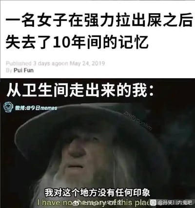 这是一张幽默搞笑的中文梗图，上方文字描述"一名女子在强力拉出屎之后失去了10年间的记忆"，中间文字写着"从卫生间走出来的我："，下方是《指环王》中甘道夫的电影截图，配文"我对这个地方没有任何印象"。图片通过夸张的情景设定和电影角色的表情形成幽默效果，暗示排便后感觉焕然一新、仿佛失忆一般的轻松状态。