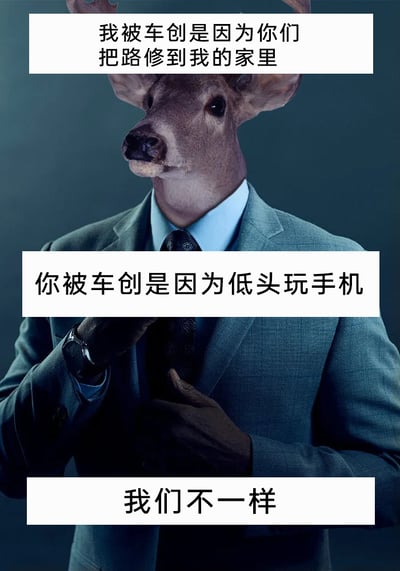 这是一张通过图像合成制作的搞笑梗图，画面主体是一个鹿头人身的拟人化形象，它身着灰蓝色西装、浅蓝色衬衫并系着深色领带，双手正整理着领带，神态平静。图片被三段文字分割，顶部文字以鹿的视角表述“我被车创是因为你们把路修到我的家里”，点明野生动物因人类活动侵占栖息地而遭遇车祸的原因；中间文字则对应人类视角，指出“你被车创是因为低头玩手机”，是人类因自身疏忽引发车祸的常见情况；底部文字“我们不一样”作为总结，用网络流行语的形式幽默地对比了两者遭遇车祸的本质差异，既带有对人类侵占野生动物栖息地的调侃，也提醒人们注意自身的交通安全。