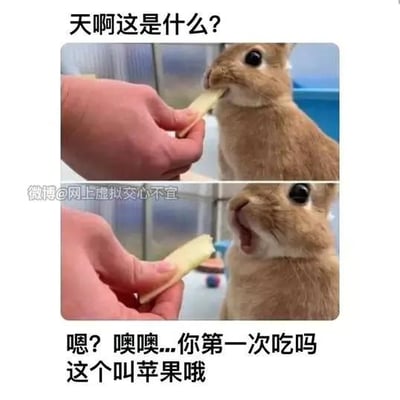 这是一张上下拼接的连环搞笑梗图，上图展示一只棕色兔子咬着人递来的苹果条，配文模拟兔子的疑惑提问“天啊这是什么？”；下图中兔子嘴巴大张，露出惊讶的神态，配文以拟人化的解答回应“嗯？噢噢...你第一次吃吗 这个叫苹果哦”。通过将兔子的表情拟人化，模拟出小动物第一次接触新食物时的好奇与惊讶，制造出可爱又搞笑的效果，没有双关或谐音梗。