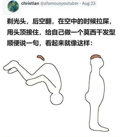 这是一张搞笑梗图，上方是Twitter用户christian @afamousyoutuber的发文，内容描述了一个荒谬的场景：剃光头后做空翻，在空中排便并用头顶接住，做成莫西干发型。下方配有两幅简笔画，左侧是一个人正在做空翻并排出棕色物体，右侧是一个头顶有棕色莫西干发型的人形轮廓。整图通过荒诞的文字描述和简单的图画形成幽默效果。