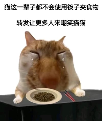 这是一张经过P图改编的搞笑宠物表情包，创作者将橘白猫咪的形象进行拟人化处理，让它以人类的姿态趴在桌子前，双眼紧闭，脸上挂着大颗的泪痕，呈现出极度委屈的神情。猫咪面前的餐盘里装着猫粮，旁边摆放着一双筷子，搭配上方的两行文字“猫这一辈子都不会使用筷子夹食物”“转发让更多人来嘲笑猫猫”，用无厘头的逻辑将猫咪无法使用人类餐具的现实，转化为猫咪的“委屈痛点”，通过拟人化的情绪和反差感制造出滑稽的笑点，是适合在社交平台转发玩梗的趣味素材。
