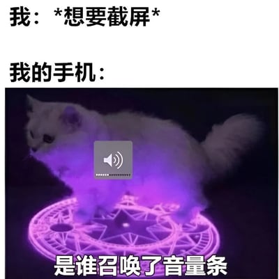图片上方文字为“我：*想要截屏*”，下方紧接着“我的手机：”，随后是一张经过特效处理的图片：一只白色猫咪站在散发紫色光芒的魔法阵中央，猫咪前方有一个音量图标覆盖。图片底部配有文字“是谁召唤了音量条”。整体通过拟人化和魔法阵的夸张特效，幽默地表现了用户想截屏时却不小心触发音量调节功能的无奈日常，用“召唤”的奇幻设定调侃手机操作中的误触现象。