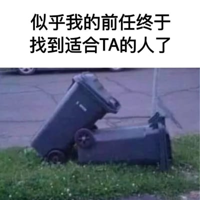 这是一张幽默梗图，上方配有文字“似乎我的前任终于找到适合TA的人了”，下方是两个垃圾桶相互依偎的照片。图片通过将前任找到新伴侣比喻为垃圾桶找到“适合”的同伴，用视觉隐喻制造出讽刺幽默的效果，暗示前任及其新伴侣都如同垃圾桶一般不被看好。