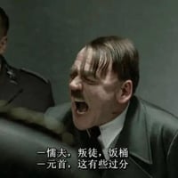 元首之怒缩略图