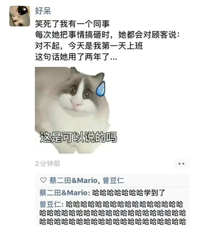 这是一张典型的社交平台搞笑梗图，上半部分是网友吐槽“同事每次出错都说‘今天是我第一天上班’，而且用这句话用了两年”，下半部分配有出汗慌张表情的猫咪表情包，文字为“这是可以说的吗”，表现出一种尴尬和无语的氛围，评论区则是一片哈哈大笑和“学到了”。整体十分幽默，容易引发共鸣。没有明显双关或谐音梗，属于职场甩锅小技巧调侃型段子。