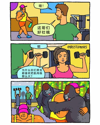 这是一则三格搞笑连环漫画，场景设定在健身房中：第一格，绿衣男子看到一位肌肉极其发达的壮汉戴着耳机、拿着水杯走过，发出惊叹“哇！这哥们好壮哦”；第二格，一旁举着哑铃锻炼的粉衣女生露出疑惑的神情，向绿衣男子提问“为什么你们男生都喜欢把肌肉练那么大？”；第三格揭晓了搞笑的答案，切换到壮汉的视角，他正被一群大猩猩热情地拥抱，用夸张的类比暗示男生练出壮硕肌肉是为了获得同类的认可与喜爱，通过反差感制造幽默效果。