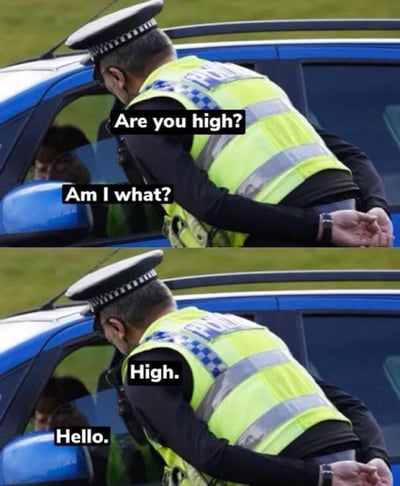 这是一张上下分栏的连环恶搞梗图，画面呈现一名身着警用反光背心的警察双手被反绑在身后，俯身向车内人员问话的场景：
1. 第一栏：警察询问「Are you high?」（英文原意是“你是不是嗑药嗨了？”），车内人员疑惑回应「Am I what?」；
2. 第二栏：警察重复「High.」，车内人员却将「High」误认为是对方的名字，礼貌回应「Hello.」。
这个梗的笑点在于双关语义与情境的反差：警察实际处于被控制的被动状态，他的执法问话被车内人员完全误解为自我介绍，形成荒诞又搞笑的乌龙效果。