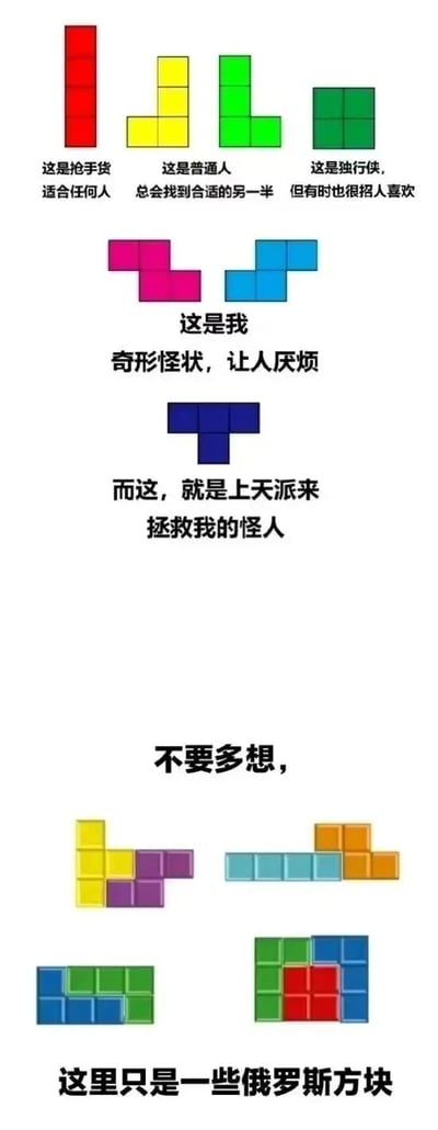 这是一张利用俄罗斯方块形状进行幽默人格比喻的图片。图片上方展示了不同形状的彩色俄罗斯方块，并配有文字说明：红色长条被称为"抢手货，适合任何人"，黄色L形被称为"普通人，总会找到合适的另一半"，绿色L形被称为"独行侠，但有时也招人喜欢"，粉色和蓝色不规则形状被称为"这是我，奇形怪状，让人厌烦"，而深蓝色T形则被称为"上天派来拯救我的怪人"。图片底部展示了几组已拼接好的俄罗斯方块组合，并配有文字"不要多想，这里只是一些俄罗斯方块"，形成幽默反转效果。
