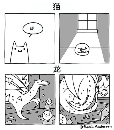 这是一幅由Sarah Andersen创作的上下分栏四格黑白漫画，上栏围绕猫展开：第一格中一只表情惬意的猫开口说“暖！”，表达对温暖的喜爱；第二格中猫团成圆球状，舒适地卧在窗户投射进来的阳光区域里。下栏围绕龙展开，用夸张的方式模仿猫的行为制造反差笑点：第一格中一只体型庞大的龙闯入室内，周围的墙面破碎，两个人类露出惊恐的表情；第二格中龙盘成巨大的一团，占据了整个空间，模仿猫晒太阳的姿势，将猫的日常取暖行为用龙的庞大体型进行荒诞化演绎，形成强烈的喜剧反差，凸显出幽默搞笑的效果。