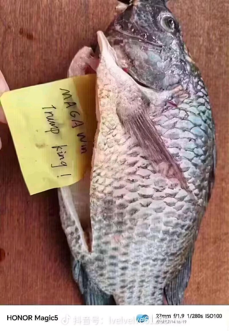 鱼