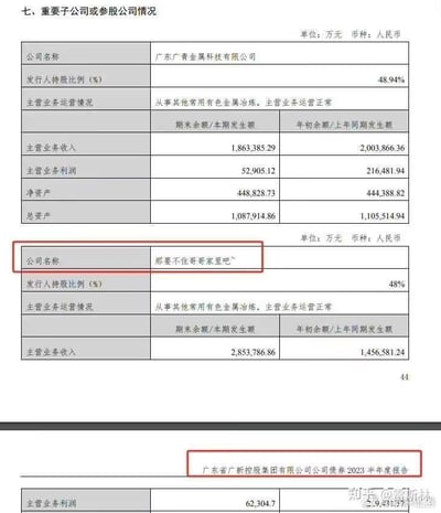 这是一张广东省广新控股集团有限公司2023半年度公司债券报告的截图，原本是严肃的重要子公司或参股公司财务情况披露内容。其中一家参股公司的名称被网友修改为暧昧话术「那要不往哥哥家里吧~」，与周围专业的财务数据、正式的财报格式形成强烈反差，制造出荒诞搞笑的效果。截图中还保留了该公司的真实财务信息：发行人持股比例48%，主营业务为其他常用有色金属冶炼且运营正常，主营业务收入本期为2,853,786.86万元，上年同期为1,456,581.24万元，另有主营业务利润等数据；同时还展示了另一家正常的子公司广东广青金属科技有限公司的完整财务数据，包括其48.94%的持股比例、各项营收利润及资产数据。