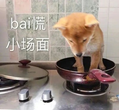 一只柴犬幼犬站在燃气灶上的平底锅中，低头专注地看着锅内。背景是带有花纹的厨房瓷砖墙。图片左侧有白色文字“bai慌 小场面”。其中“bai慌”是“别慌”的谐音，通过文字游戏营造幽默效果，将柴犬站在锅中这一略显惊险的场景调侃为“小场面”，传递出淡定从容的态度。