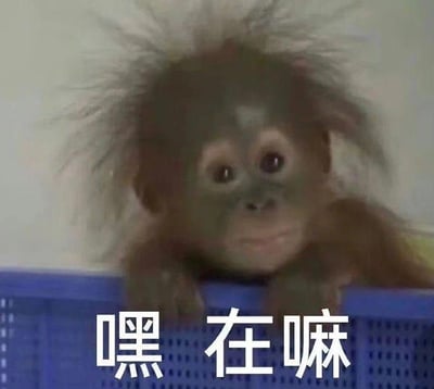 图片中是一只毛发凌乱蓬松的小猩猩，正趴在蓝色容器的边缘探头向外张望，眼神好奇又带着一丝呆萌。图片底部有白色文字“嘿 在嘛”，模仿人类日常打招呼的语气，将动物的可爱神态与生活化问候结合，营造出轻松俏皮的氛围，让人感觉亲切有趣。