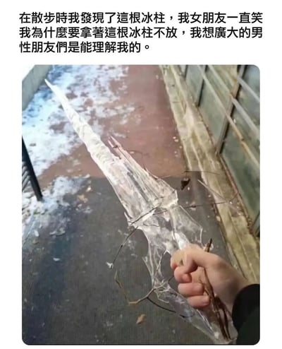 图片展示了一只手握着一根造型独特的冰柱，冰柱呈长条状，透明中带着些许杂质和树枝。图片上方配有文字：'在散步時我發現了這根冰柱，我女朋友一直笑我為什麼要拿著這根冰柱不放，我想廣大的男性朋友們是能理解我的。' 这张图片通过幽默的方式表现了男性对某些看似普通物品的特殊兴趣，暗示了性别间的认知差异，引发共鸣和笑点。