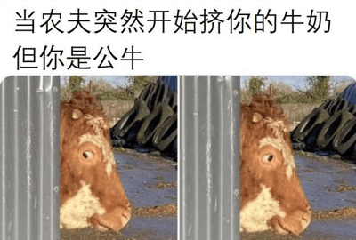这是一张左右对比的图文混排搞笑梗图，图片上方配有文字“当农夫突然开始挤你的牛奶但你是公牛”，下方左右两侧是同一头棕白相间的公牛的图片。左侧的公牛眼睛圆睁，露出震惊、错愕的神情，仿佛刚意识到自己被错误对待；右侧的公牛眼神变得呆滞，神情中带着无奈与茫然，生动地展现出它在经历荒诞事件后的心理变化。由于公牛本身没有牛奶可挤，这种不符合常识的错位场景制造出强烈的荒诞感与搞笑效果，通过动物的表情变化放大了这种荒谬感，让观者会心一笑。