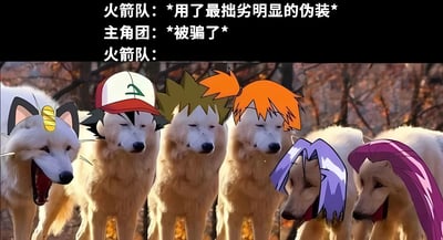 图片上方为三行文字对白，分别是“火箭队：*用了最拙劣明显的伪装*”“主角团：*被骗了*”“火箭队：”。下方是一张森林背景（有秋叶）的照片，画面中有五只白色狗狗并排站立，每只狗狗的头部都被P上了不同的动漫角色发型或配饰，例如其中一只戴着红白相间的帽子（类似动漫中常见的主角帽），其他狗狗则分别有绿色配橙色、纯橙色、紫色、粉色等颜色的发型，整体呈现出一种滑稽的“伪装”效果。图片通过将狗狗P上简单的动漫元素来模拟“拙劣伪装”，结合文字内容，讽刺了动漫中常见的“反派用明显伪装却成功欺骗主角团”的经典套路，充满幽默和调侃意味。