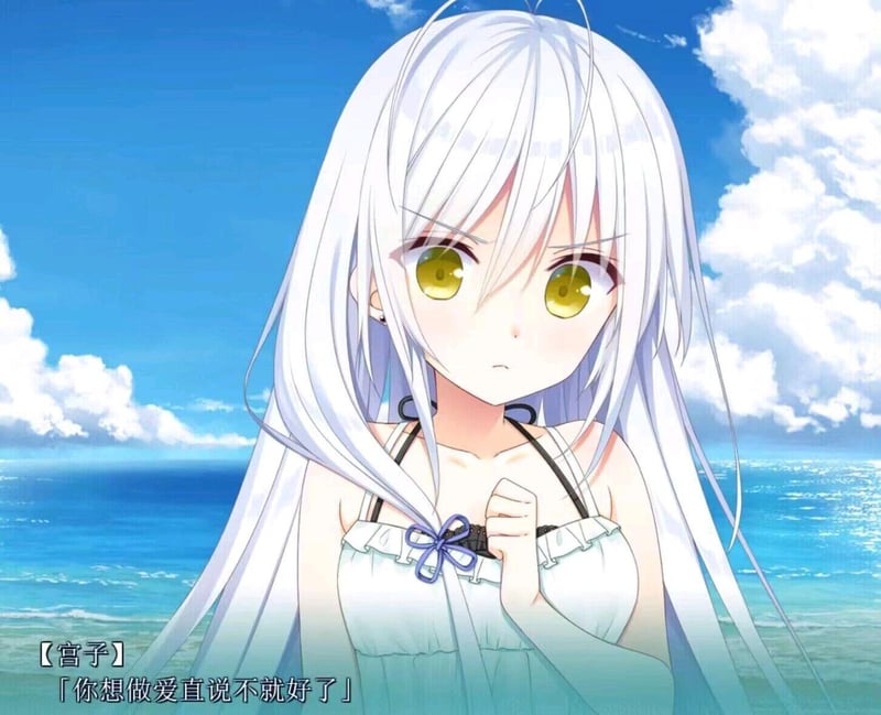 未知美少女游戏