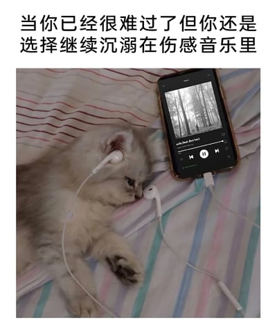 这是一张能引发情绪共鸣的网络梗图，上方配有文字“当你已经很难过了但你还是选择继续沉溺在伤感音乐里”。图中一只浅灰色猫咪躺在床上，神态低落、眼神忧伤，一只耳朵戴着白色有线耳机，另一只耳机放在嘴边，旁边的手机正播放着一首封面为黑白森林的伤感风格音乐。猫咪低落的状态与配文完美呼应，用拟人化的方式精准表现出很多人在情绪低落时，不仅没有选择走出悲伤，反而主动沉浸在伤感氛围里的行为，十分贴合大众的情绪体验，容易引发共鸣。