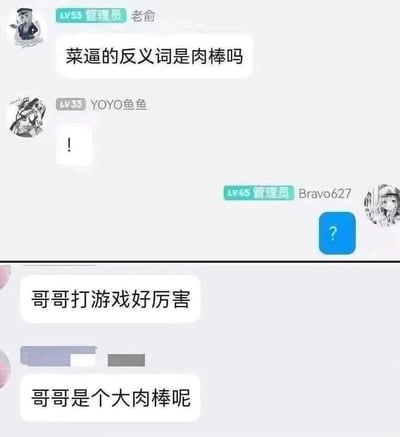 这是一张拼接的聊天记录静态截图，分为上下两个部分。上半部分是群聊场景，LV53管理员老俞提出一个低俗玩梗式的问题“菜逼的反义词是肉棒吗”，此处利用了网络语境中“菜（指游戏水平差）”的反义被曲解为“肉”，再结合低俗词汇“肉棒”制造谐音双关梗；群成员LV33的YOYO鱼鱼发送感叹号，LV45管理员Bravo627发送问号，以此表达惊讶、疑惑的情绪。下半部分是一段独立对话，先以“哥哥打游戏好厉害”进行夸赞，紧接着跟上“哥哥是个大肉棒呢”，承接上半部分的玩梗逻辑，将“游戏水平高”与“肉棒”强行关联，是对该低俗玩梗的延伸演绎，整体内容是网友为了搞笑创作的趣味对话，偏向低俗网络亚文化。