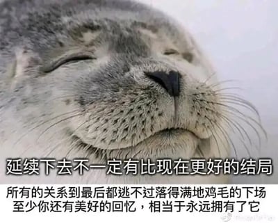 这是一张顶配底文式的静态单图，主体是一只双眼紧闭、嘴角微微上扬的海豹，神态放松又带着满足感，呈现出一种佛系、释然的状态。图片下方配有两段关于人际关系的感悟文字：“延续下去不一定有比现在更好的结局”“所有的关系到最后都逃不过落得满地鸡毛的下场 至少你还有美好的回忆，相当于永远拥有了它”，文字传递出一种不必执着于关系的最终走向，珍惜当下美好回忆的释然心态，适合用来表达对情感关系的看淡与释怀。图片右下角带有微博用户的水印，说明其传播平台大概率为微博。