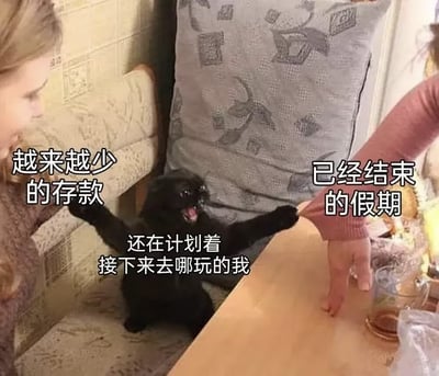 这是一张二次创作的搞笑表情包，画面中央的黑猫张着嘴面露崩溃抗拒的神情，两只前爪分别抵在左右两侧人的手上，左侧人物旁配文代表「越来越少的存款」，右侧人物旁配文代表「已经结束的假期」，黑猫身上的配文则是「还在计划着接下来去哪玩的我」，生动又戏谑地展现了很多人在假期尾声时，既没有足够的存款，假期也已经结束，但还没玩够、仍在规划出行的尴尬两难处境，很容易引发网友共鸣。