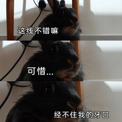 这是一张由三张黑兔的实拍照片拼接而成的连环图，通过递进式的文字制造搞笑效果。第一张图中黑兔看向旁边的黑色电线，配文“这线不错嘛”；第二张图配文“可惜...”，制造悬念；第三张图揭晓后续“经不住我的牙口”，模仿兔子的视角，调侃兔子天生爱啃咬物品的习性，用这种反差感展现萌宠的调皮日常，充满趣味。