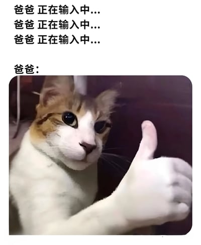 图片上方重复显示三次“爸爸 正在输入中...”，营造出聊天时对方长时间输入的期待感，下方“爸爸：”后接一张猫咪图片。图中猫咪为橘白相间毛色，蓝眼睛，正用前爪做出竖起大拇指的点赞动作，表情专注。整体通过“长时间输入”与“猫咪点赞”的反差制造幽默效果，展现家庭聊天中的可爱互动场景。