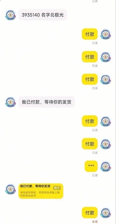 这是一张闲鱼平台的聊天记录截图，左侧买家首先告知了自己的账号ID，右侧卖家接连三次发送“付款”的催促消息；在买家明确表示自己已经付款等待发货后，卖家又两次发送付款消息，之后发送了省略号；买家发出闲鱼官方的已付款通知卡片提醒后，卖家又发送了一条付款消息，该消息还处于未读状态，整个对话双方沟通完全错位，充满荒诞的搞笑感。