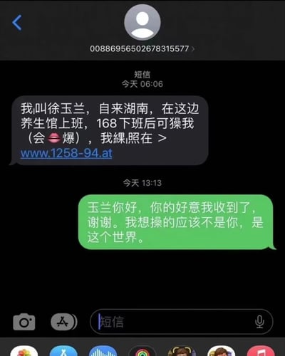 一张手机短信聊天记录截图，显示一条来自陌生号码的骚扰短信，内容包含低俗信息和不明网址链接。下方回复以幽默方式反转，将对方的低俗暗示转化为对世界的感慨，形成强烈反差笑点。