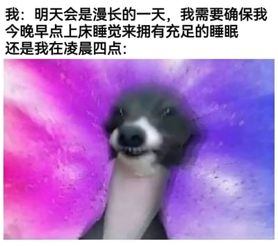 这张梗图通过文字和图片对比，幽默地展示了人们计划早睡与实际熬夜的矛盾心理。上方文字描述了计划早睡的想法："明天会是漫长的一天，我需要确保我今晚早点上床睡觉来拥有充足的睡眠"，而下方则用一张表情扭曲的狗脸图片来表现"还是我在凌晨四点"的状态，形成鲜明对比，引发共鸣。