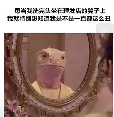 图片上方配有文字“每当我洗完头坐在理发店的凳子上 我就特别想知道我是不是一直都这么丑”，下方是一只蜥蜴对着华丽边框的镜子看的画面。蜥蜴表情茫然，仿佛在认真思考文字中的问题，用动物拟人化的方式幽默展现了人们在理发店洗完头后面对镜子时的自我怀疑心理，整体风格轻松搞笑。