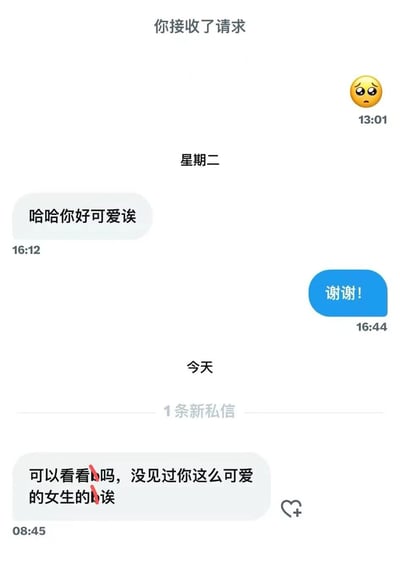 这是一张聊天界面截图，顶部显示“你接收了请求”并配有悲伤表情😥（时间13:01）。中间部分为星期二的聊天记录：16:12对方发送“哈哈你好可爱诶”，16:44用户以蓝色气泡回复“谢谢！”。下方“今天”栏目显示“1条新私信”，内容为08:45收到的消息：“可以看看吗，没见过你这么可爱的女生的诶”，其中部分文字被红色打码处理。整体呈现日常聊天中的友好互动与新消息提醒场景。