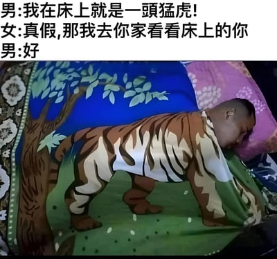 这张梗图通过文字对话和图片的幽默对比制造笑点。上方文字显示一男子自称"我在床上就是一头猛虎!"，女子表示想去看看，男子答应。下方图片则展示了一个男人正躺在床上熟睡，身上盖着一条印有老虎图案的毯子，将男子所说的"猛虎"进行了字面意义上的诠释，形成了有趣的反差萌效果。