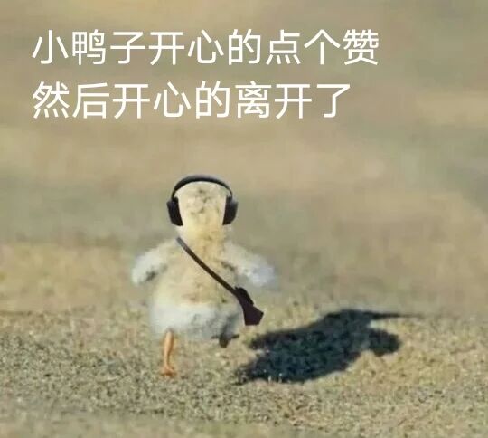 小鸭子