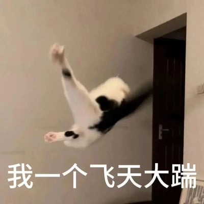 一只黑白相间的猫咪正处于腾空跃起的动态瞬间，四肢舒展，仿佛在施展“飞天大踹”的夸张动作。背景为室内环境，墙边可见一扇深色木门，整体画面充满活力与喜感。图片底部的文字“我一个飞天大踹”以白色粗体呈现，精准呼应了猫咪的姿势，增强了画面的幽默效果。
