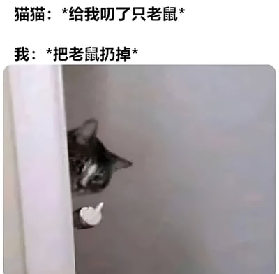 图片上方有两行文字对话，分别是“猫猫：*给我叼了只老鼠*”和“我：*把老鼠扔掉*”。下方是一张实拍照片，一只黑白相间的猫咪从门缝后探出头，眼神中带着明显的委屈和不满，一只前爪微微抬起，仿佛在无声抗议主人扔掉了自己辛苦“捕猎”来的“礼物”。整体画面幽默地展现了猫咪向主人献宝却被拒绝后的可爱反应，充满生活气息和宠物互动的趣味。