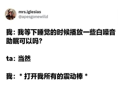 这是一张搞笑的文字梗图，通过对话形式制造幽默效果。图中讲述一个人询问能否播放白噪音助眠，得到同意后却打开了震动棒，利用"噪音"的双关含义制造笑点。