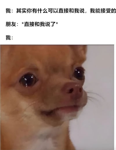 图片上方是三段对话文字：“我：其实你有什么可以直接和我说，我能接受的”“朋友：*直接和我说了*”“我：”，下方是一张特写的棕色吉娃娃照片，小狗眼睛睁大，眼角似乎有泪珠，表情看起来既委屈又带着一丝震惊，幽默地表现了嘴上说能接受，当朋友真的直言后自己内心无法承受的反差感。